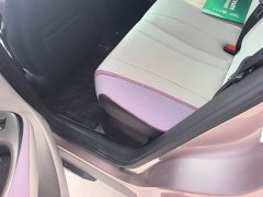 BYD Dolphin 401km Knight Edition - ფოტო 11