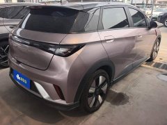 BYD Dolphin 401km Knight Edition - ფოტო 3