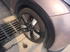 BYD Dolphin 401km Knight Edition - ფოტო 6