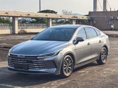 BYD Destroyer 05 Champion Edition DM-i 55KM Luxury - ფოტო 1