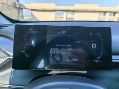 BYD Destroyer 05 Champion Edition DM-i 55KM Luxury - ფოტო 11