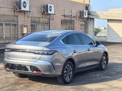 BYD Destroyer 05 Champion Edition DM-i 55KM Luxury - ფოტო 6