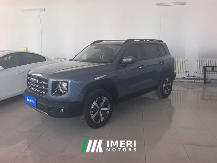Great Wall Dachshund 1.5T DCT Two-Wheel Drive Labrador Edition - ავტომობილი ჩინეთიდან