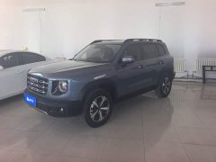 Great Wall Dachshund 1.5T DCT Two-Wheel Drive Labrador Edition - ფოტო 1