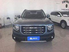 Great Wall Dachshund 1.5T DCT Two-Wheel Drive Labrador Edition - ფოტო 2