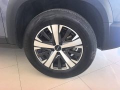 Great Wall Dachshund 1.5T DCT Two-Wheel Drive Labrador Edition - ფოტო 6