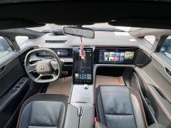 HiPhi X 2021 Flagship 6-Seater - ფოტო 12