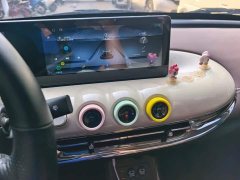 Wuling Binguo 333km Joy Edition - ფოტო 13
