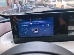 Wuling Binguo 333km Joy Edition - ფოტო 14