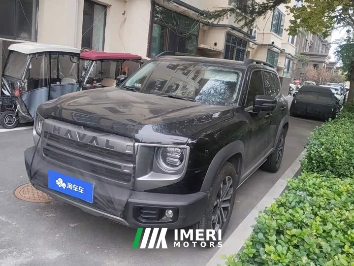 Great Wall Dachshund 2024 1.5T DCT Border Collie Edition - ავტომობილი ჩინეთიდან