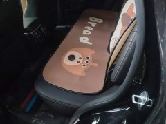Great Wall Dachshund 2024 1.5T DCT Border Collie Edition - ფოტო 11