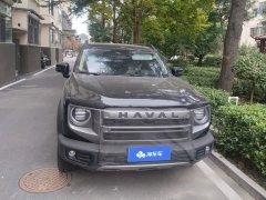 Great Wall Dachshund 2024 1.5T DCT Border Collie Edition - ფოტო 2