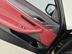 BMW 5 Series 530Li Luxury M Sport Package - ფოტო 13