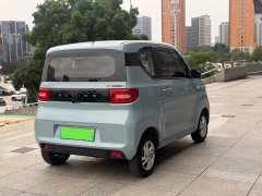 Wuling Hongguang MINIEV 2020 Easy Edition LFP Battery - ფოტო 9