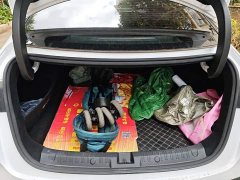 BYD Qin L DM-i 120KM Leading Edition - ფოტო 4