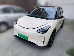 Geely Xing Yuan 2025 310km Dream Edition - ფოტო 1