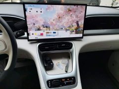 Geely Xing Yuan 2025 310km Dream Edition - ფოტო 14