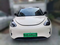 Geely Xing Yuan 2025 310km Dream Edition - ფოტო 2