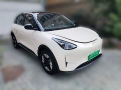 Geely Xing Yuan 2025 310km Dream Edition - ფოტო 3