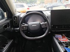 Haval Manlong Gasoline 2.0T 4WD Ultra - ფოტო 15