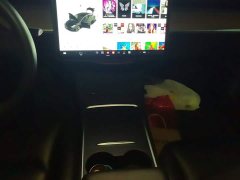 Tesla Model 3 Facelift Standard Range RWD Upgrade 3D1 - ფოტო 16