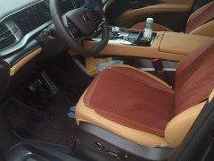 Denza BYD Denza D9 DM-i Two-Wheel Drive Flagship Edition - ფოტო 9