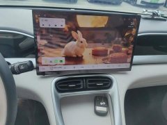 Geely Xing Yuan 310km Dream Edition - ფოტო 13