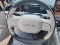 Geely Xing Yuan 310km Dream Edition - ფოტო 15