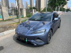 BYD Dolphin 550km Standard Range RWD Luxury - ფოტო 1