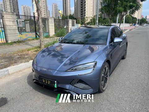 2022 BYD Dolphin 550km Standard Range RWD Luxury - ავტომობილი ჩინეთიდან