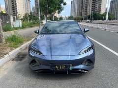 BYD Dolphin 550km Standard Range RWD Luxury - ფოტო 2