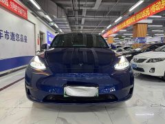 Tesla Model Y Long Range All-Wheel Drive - ფოტო 1