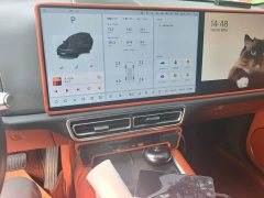 Li Auto L9 2022 Max - ფოტო 13