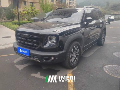 2021 Great Wall Dachshund 1.5T DCT Two-Wheel Drive Border Collie Edition - ავტომობილი ჩინეთიდან