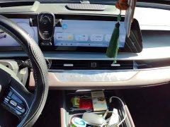 Chery Tiggo 8 PRO 2024 Champion Edition 290T FWD Peak Version 7-Seater - ფოტო 13