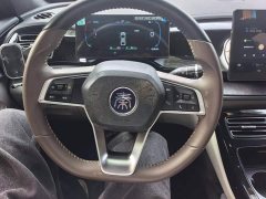 BYD Qin PLUS Glory Edition DM-i 55KM Leading - ფოტო 15