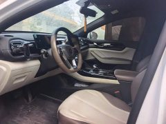 BYD Qin PLUS Glory Edition DM-i 55KM Leading - ფოტო 9