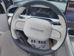 Geely Xing Yuan 310km Dream Edition - ფოტო 15