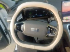 Geely Galaxy L6 EM-i 60km Launch Edition - ფოტო 15