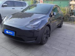 Tesla Model Y Rear-Wheel Drive - ფოტო 1