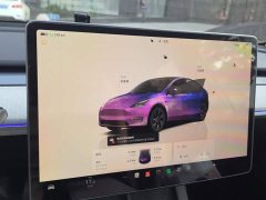 Tesla Model Y Rear-Wheel Drive - ფოტო 14