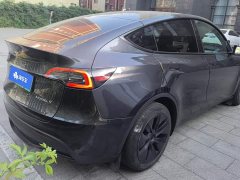 Tesla Model Y Rear-Wheel Drive - ფოტო 3