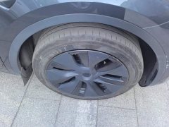 Tesla Model Y Rear-Wheel Drive - ფოტო 6