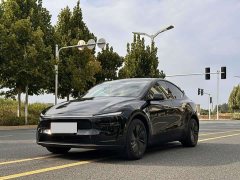 Tesla Model Y Rear-Wheel Drive - ფოტო 1