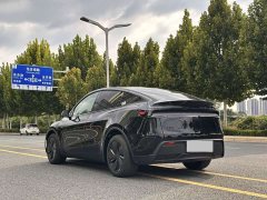 Tesla Model Y Rear-Wheel Drive - ფოტო 14