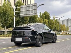 Tesla Model Y Rear-Wheel Drive - ფოტო 16