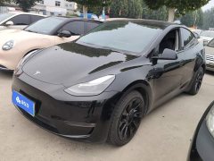 Tesla Model Y 2021 Standard Range RWD - ფოტო 1