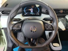 Leapmotor Leapo T03 Radiant Gold Edition - ფოტო 15