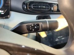 Leapmotor Leapo T03 Radiant Gold Edition - ფოტო 16