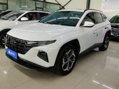 Hyundai Tucson 2021 Tucson L 1.5T DCT LUX Luxury Edition - ფოტო 1